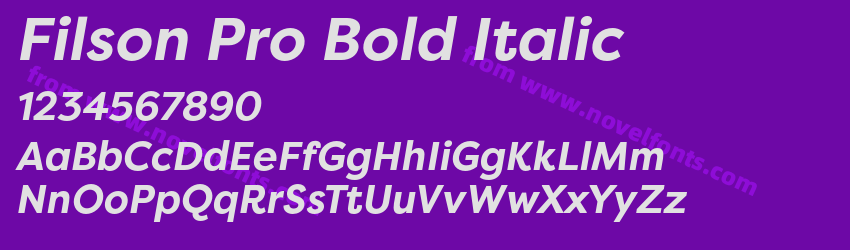 Filson Pro Bold ItalicPreview Filson Pro Bold ItalicPreview