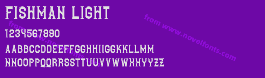 Fishman LightPreview Fishman LightPreview
