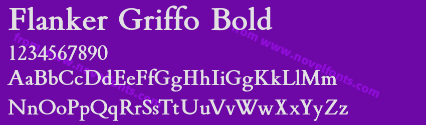 Flanker Griffo BoldPreview Flanker Griffo BoldPreview