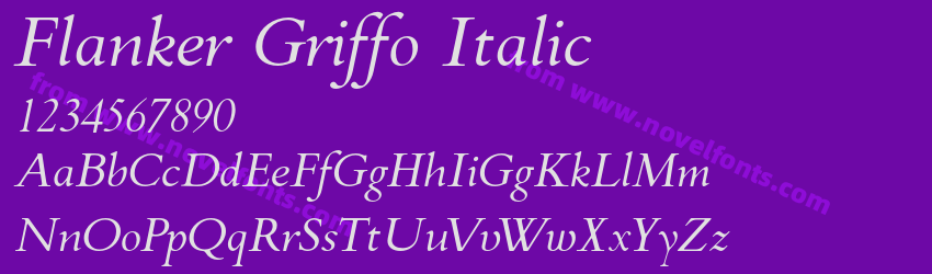 Flanker Griffo ItalicPreview