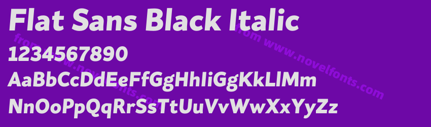 Flat Sans Black ItalicPreview