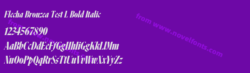 Flecha Bronzea Test L Bold ItalicPreview Flecha Bronzea Test L Bold ItalicPreview