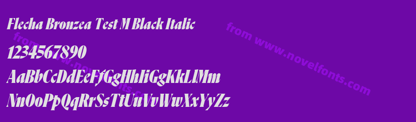 Flecha Bronzea Test M Black ItalicPreview Flecha Bronzea Test M Black ItalicPreview