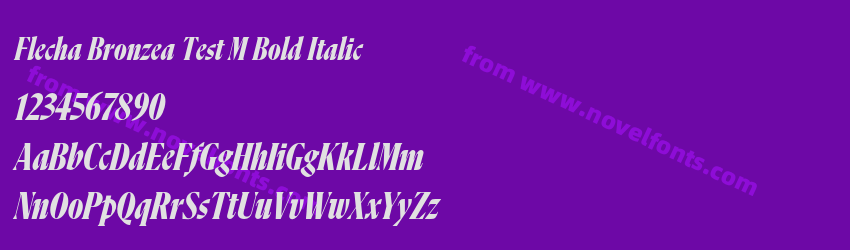 Flecha Bronzea Test M Bold ItalicPreview