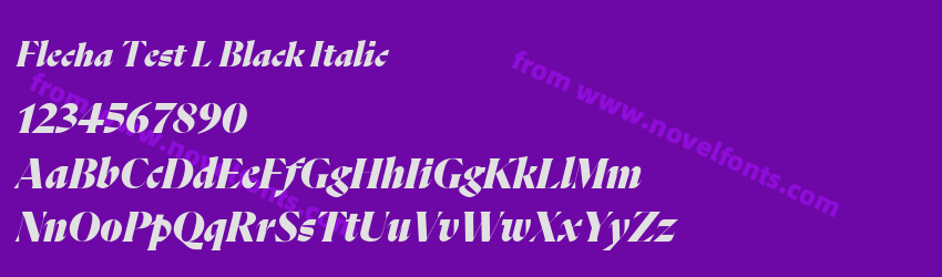 Flecha Test L Black ItalicPreview Flecha Test L Black ItalicPreview