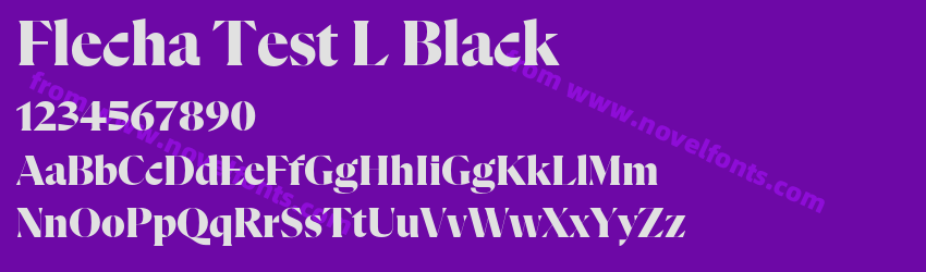 Flecha Test L BlackPreview Flecha Test L BlackPreview