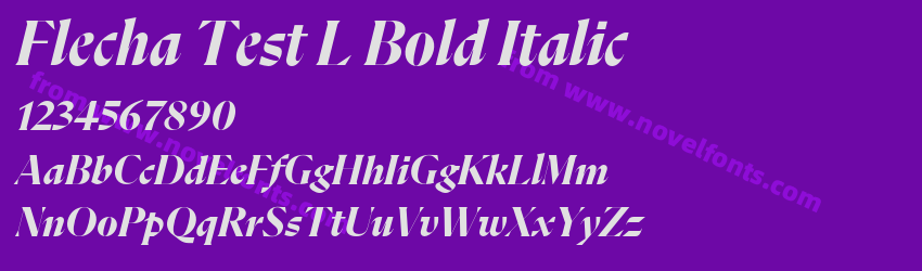 Flecha Test L Bold ItalicPreview