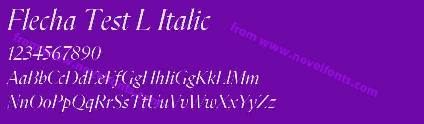 Flecha Test L ItalicPreview Flecha Test L ItalicPreview
