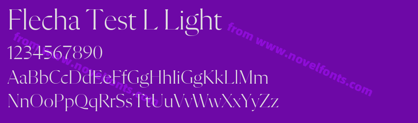 Flecha Test L LightPreview Flecha Test L LightPreview