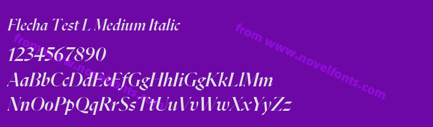 Flecha Test L Medium ItalicPreview Flecha Test L Medium ItalicPreview