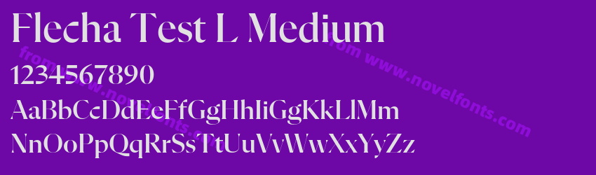 Flecha Test L MediumPreview Flecha Test L MediumPreview