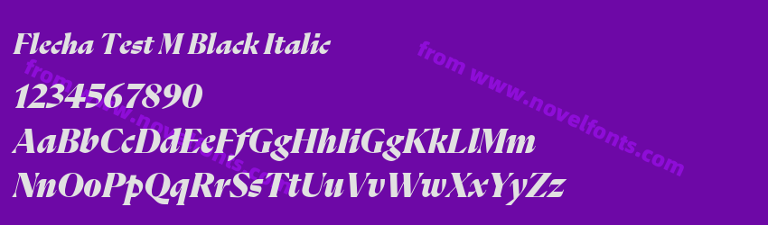 Flecha Test M Black ItalicPreview