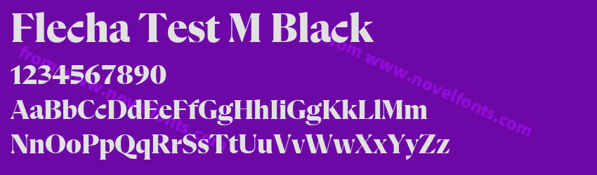 Flecha Test M BlackPreview Flecha Test M BlackPreview