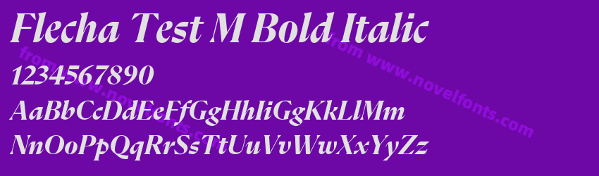 Flecha Test M Bold ItalicPreview Flecha Test M Bold ItalicPreview
