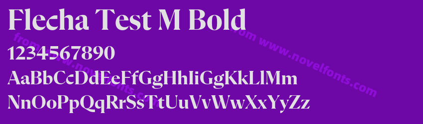 Flecha Test M BoldPreview Flecha Test M BoldPreview