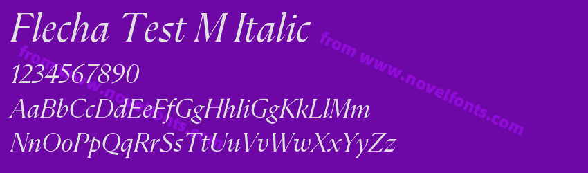 Flecha Test M ItalicPreview Flecha Test M ItalicPreview