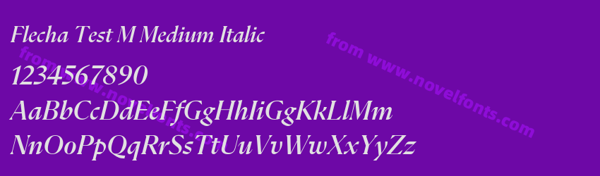 Flecha Test M Medium ItalicPreview Flecha Test M Medium ItalicPreview