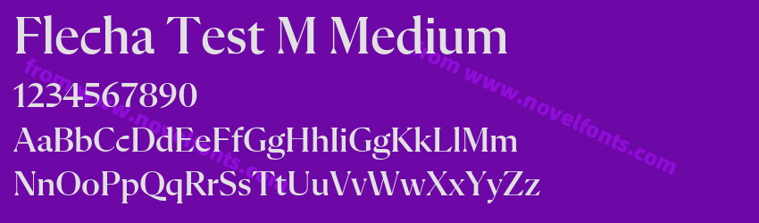 Flecha Test M MediumPreview Flecha Test M MediumPreview