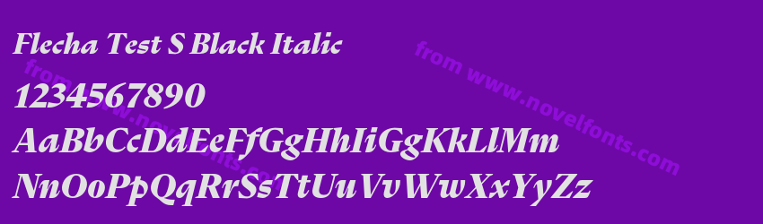 Flecha Test S Black ItalicPreview Flecha Test S Black ItalicPreview