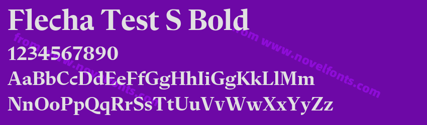 Flecha Test S BoldPreview