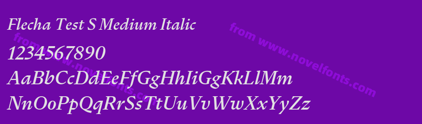 Flecha Test S Medium ItalicPreview Flecha Test S Medium ItalicPreview
