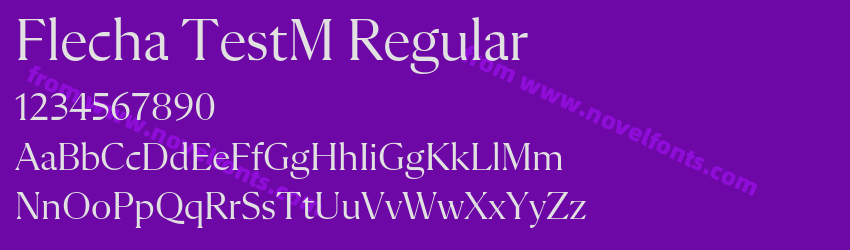 Flecha TestM RegularPreview Flecha TestM RegularPreview