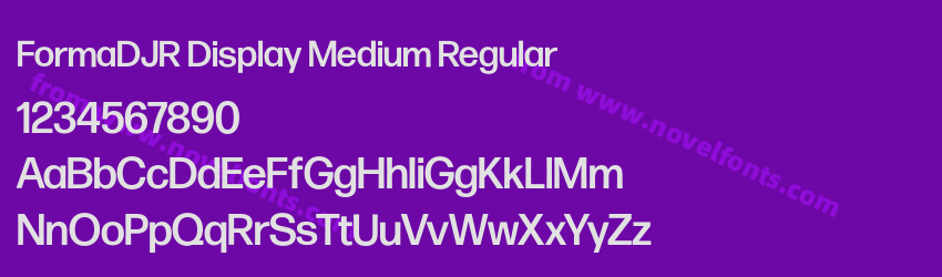 FormaDJR Display Medium RegularPreview FormaDJR Display Medium RegularPreview
