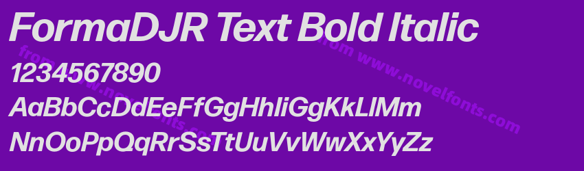 FormaDJR Text Bold ItalicPreview FormaDJR Text Bold ItalicPreview