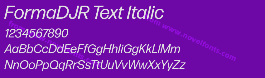 FormaDJR Text ItalicPreview FormaDJR Text ItalicPreview