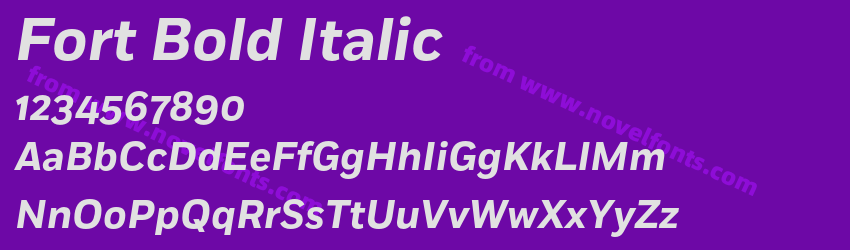 Fort Bold ItalicPreview