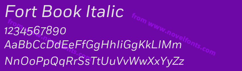 Fort Book ItalicPreview