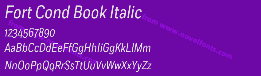Fort Cond Book ItalicPreview