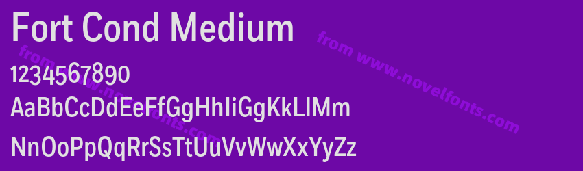 Fort Cond MediumPreview
