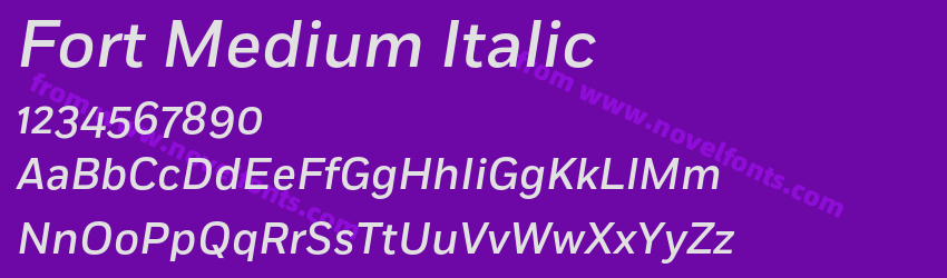 Fort Medium ItalicPreview