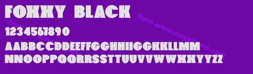 Foxxy BlackPreview Foxxy BlackPreview