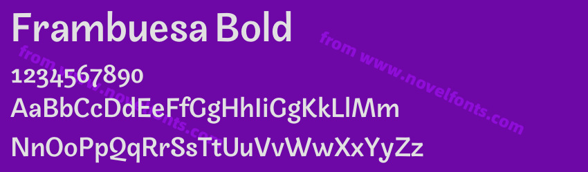 Frambuesa BoldPreview Frambuesa BoldPreview