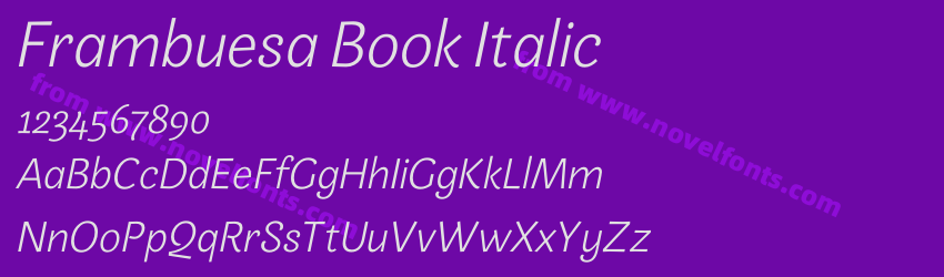 Frambuesa Book ItalicPreview Frambuesa Book ItalicPreview