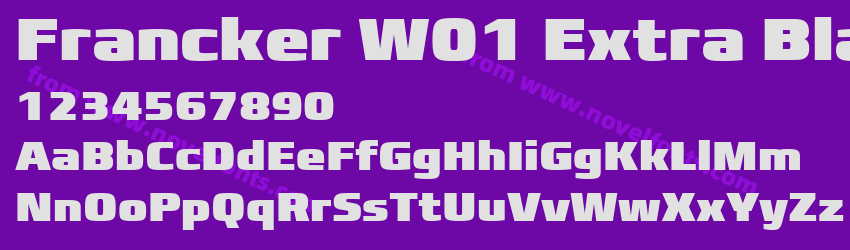 Francker W01 Extra BlackPreview