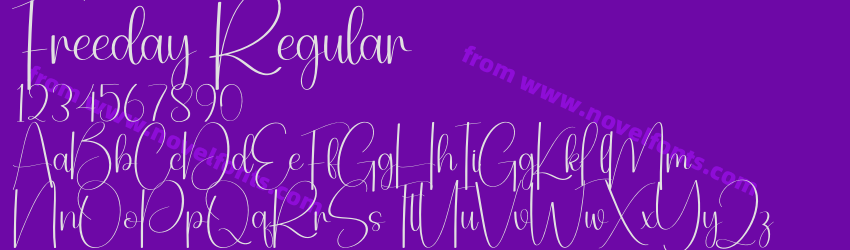 Freeday RegularPreview Freeday RegularPreview