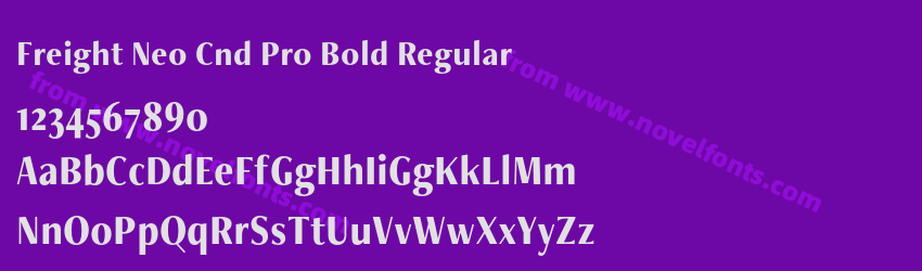 Freight Neo Cnd Pro Bold RegularPreview Freight Neo Cnd Pro Bold RegularPreview