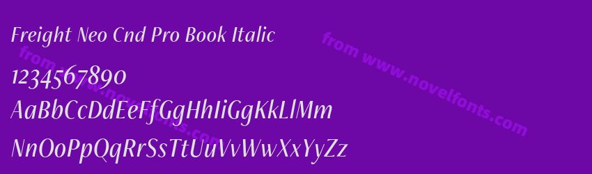 Freight Neo Cnd Pro Book ItalicPreview