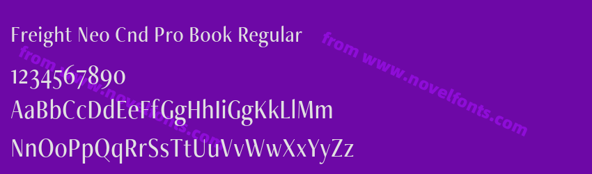 Freight Neo Cnd Pro Book RegularPreview