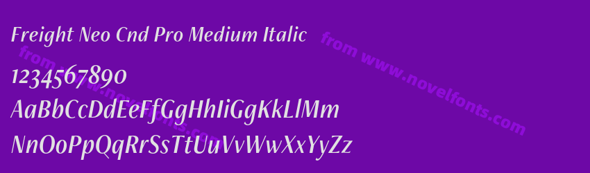 Freight Neo Cnd Pro Medium ItalicPreview Freight Neo Cnd Pro Medium ItalicPreview