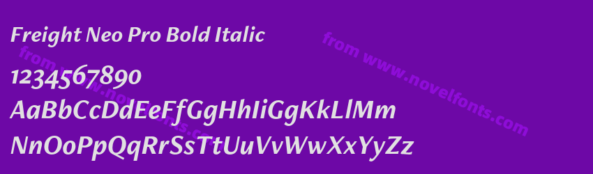 Freight Neo Pro Bold ItalicPreview