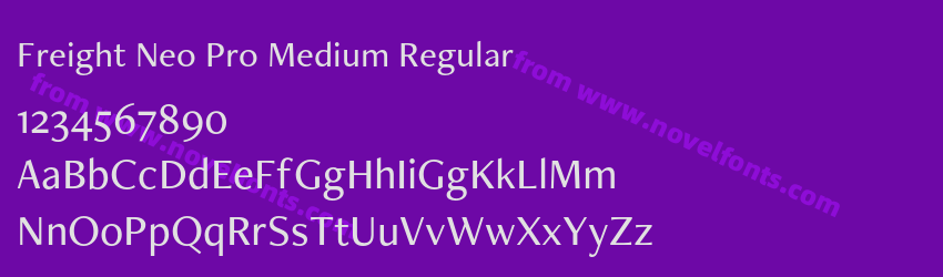 Freight Neo Pro Medium RegularPreview Freight Neo Pro Medium RegularPreview