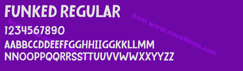 Funked RegularPreview Funked RegularPreview