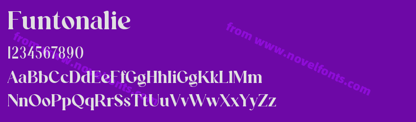 FuntonaliePreview