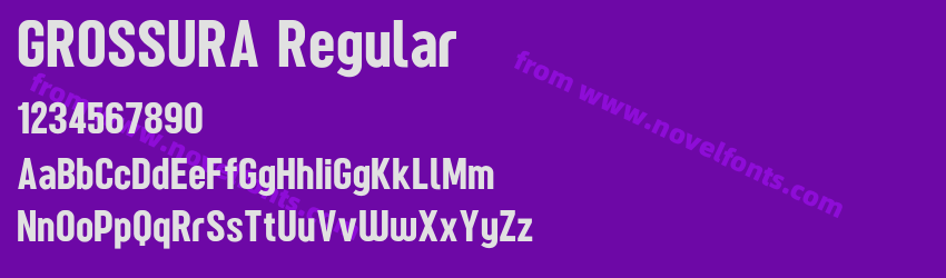 GROSSURA RegularPreview GROSSURA RegularPreview
