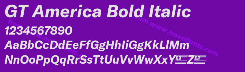 GT America Bold ItalicPreview GT America Bold ItalicPreview