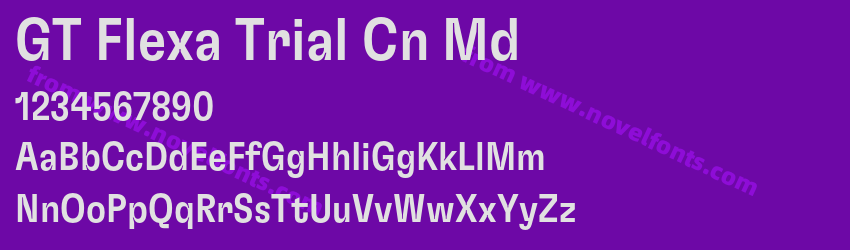 GT Flexa Trial Cn MdPreview GT Flexa Trial Cn MdPreview